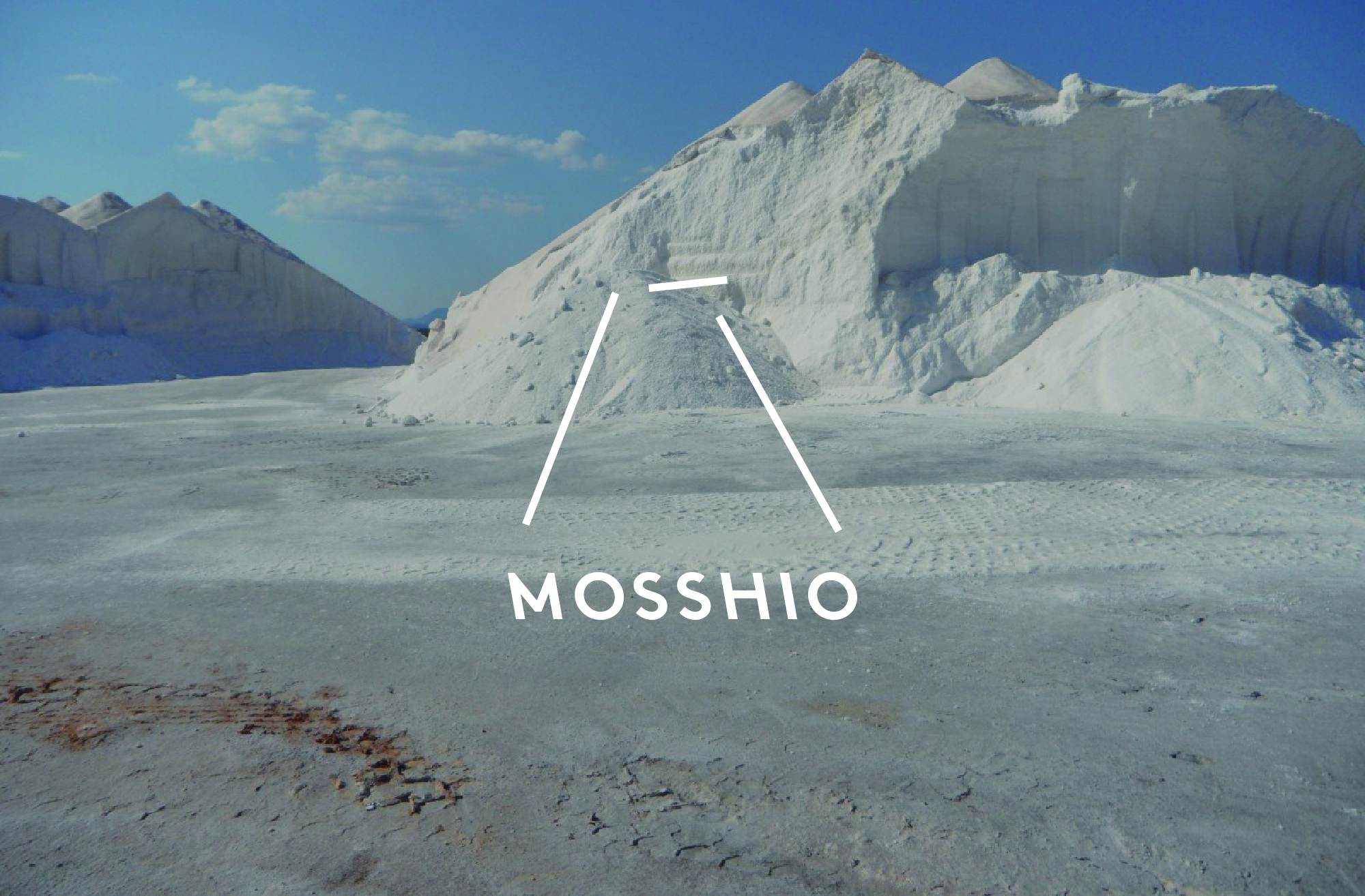 mosshio_cover2 mosshio_cover2